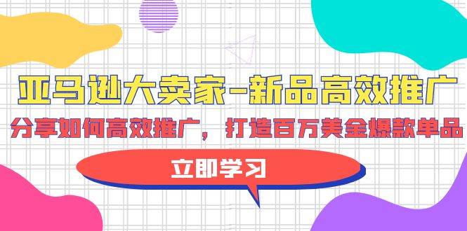 亚马逊 大卖家-新品高效推广，分享如何高效推广，打造百万美金爆款单品-荔枝网络